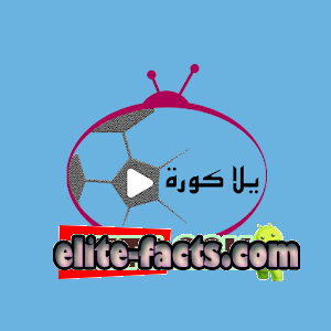 تحميل يلا كورة Yallakora بث مباشر لمشاهدة المباريات اون لاين للاندرويد 1 تحميل يلا كورة