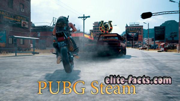 تحميل ببجي ستيم Pubg Steam آخر اصدار